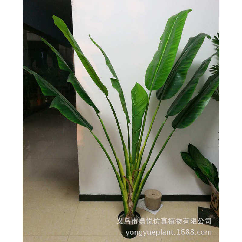 3仿真蕉 盆景仿真香蕉4绿旅人52 植米杆芭蕉-树. 仿真2厂家-