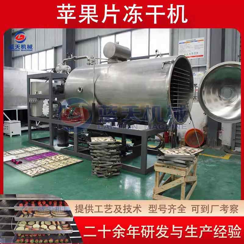 苹果片冻干机 真空苹果清洗去核切片冻干生产线 水果干冷冻干设备