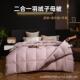 全棉鹅绒二合一羽绒被子母被95白鹅绒夏被春秋被四季 冬被芯