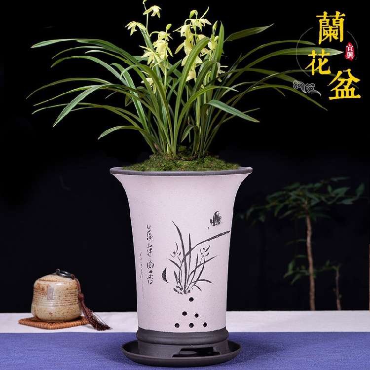 紫砂花盆兰花盆吊兰盆带托盘陶瓷盆紫砂君子兰盆客厅花盆