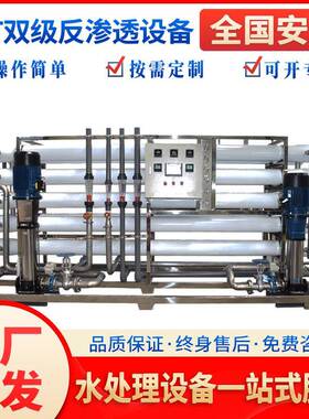 15t双级反渗透水处理设备工业纯水机去离子水设备大型过滤净水器
