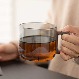 现代简约观山泡茶杯高硼硅玻璃水杯家用办公水杯马克杯茶水分离杯