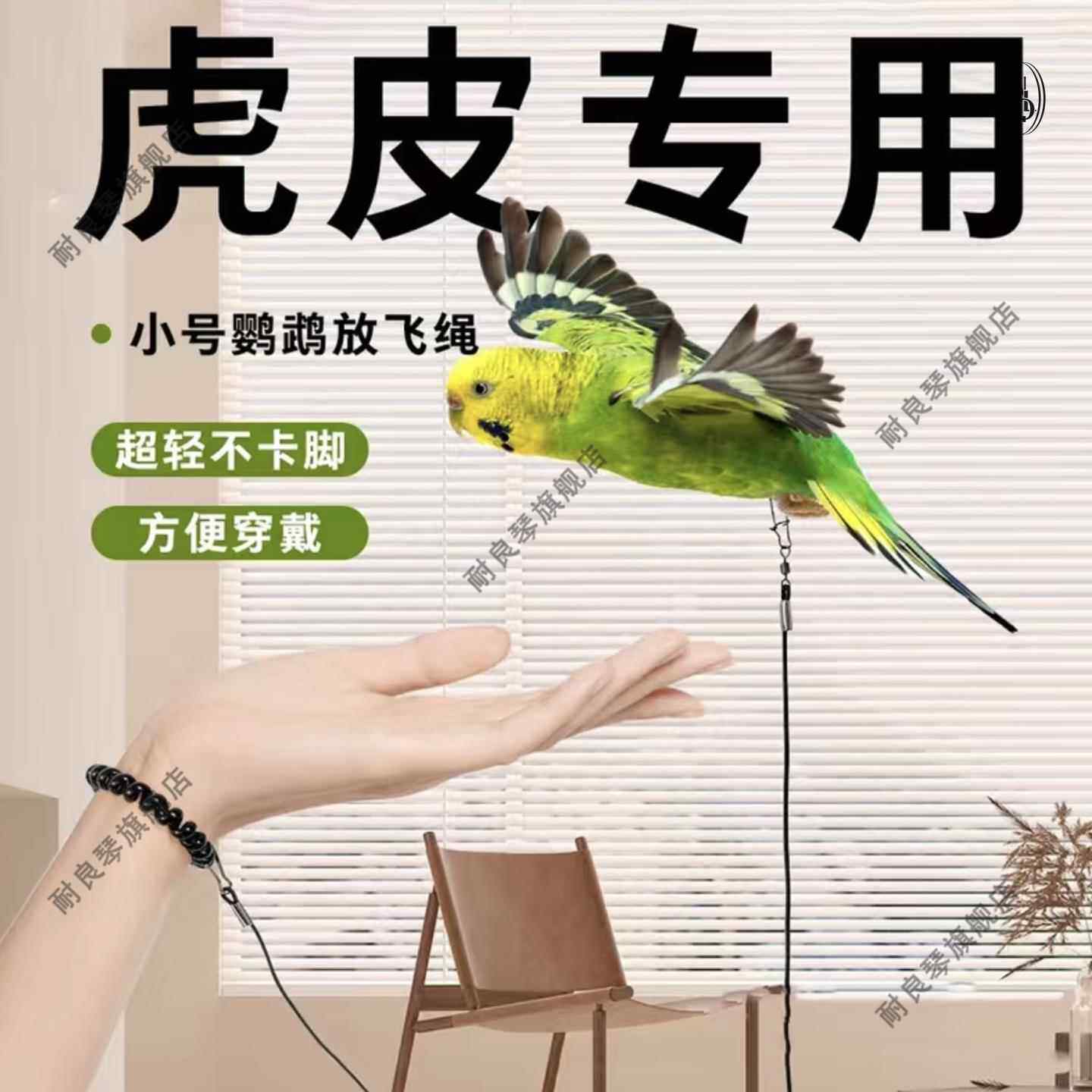 鹦鹉牵引绳放飞绳不伤虎皮脚环遛鸟训练玄凤八哥牵引外出鸟用脚链