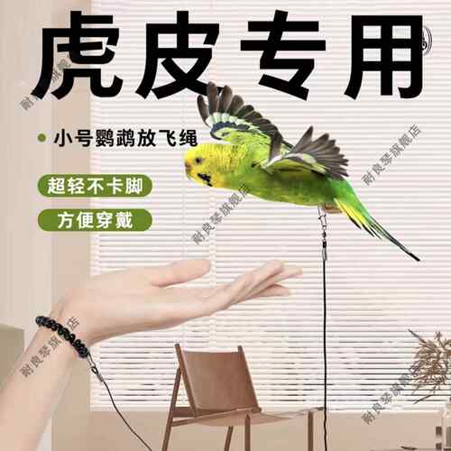 鹦鹉牵引绳放飞绳不伤虎皮脚环遛鸟训练玄凤八哥牵引外出鸟用脚链