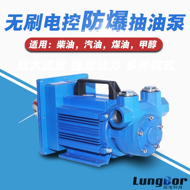12V24V自吸泵电动抽油泵静音无刷大流量防爆汽油泵小型计量厂家直