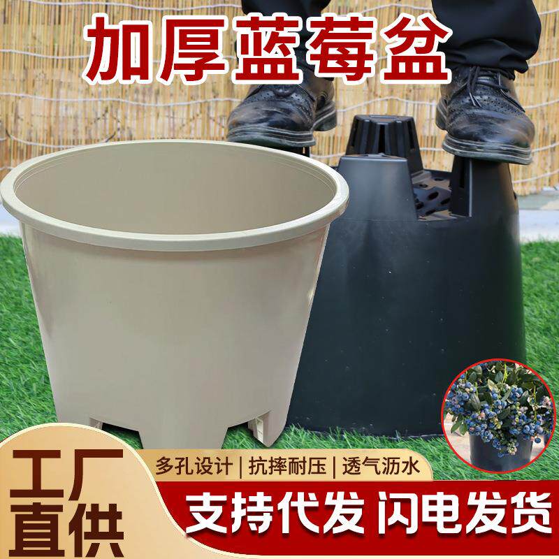 蓝莓果树专用大口径花盆加厚呼吸种植盆圆形树脂侧排孔青山控根盆