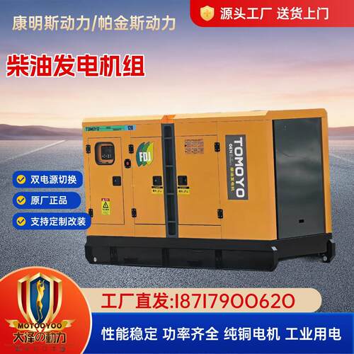 大泽动力150KW柴油发电机组 低噪音水冷防尘防雨款TO150000ETZ
