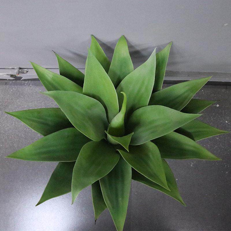 仿真舌龙兰摆件沙生植物景观造景搭配仿植真花绿植龙舌兰摆假物假