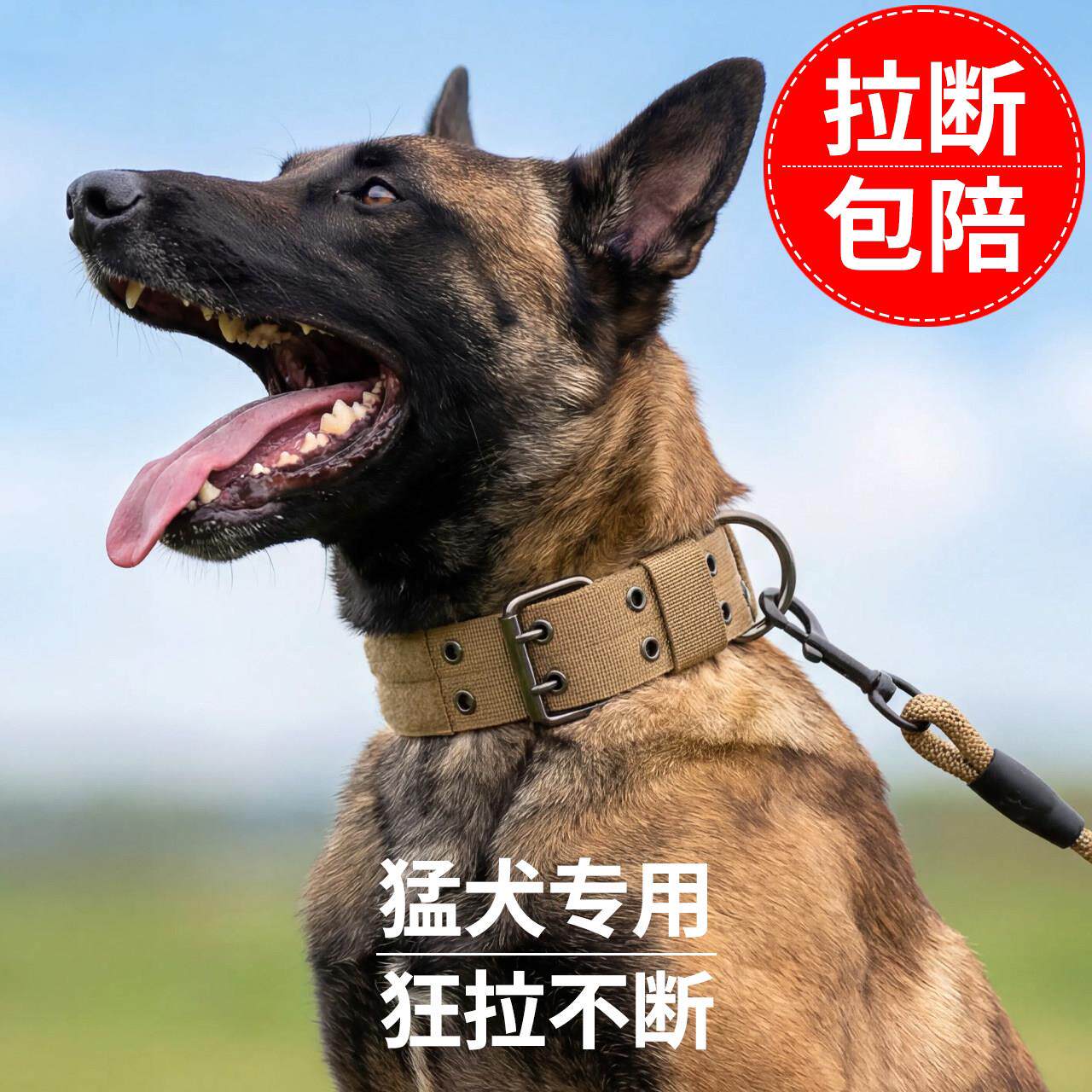 狗狗项圈狗脖套狗圈颈圈大狗脖圈中大型犬猛犬金毛马犬德牧牵引绳