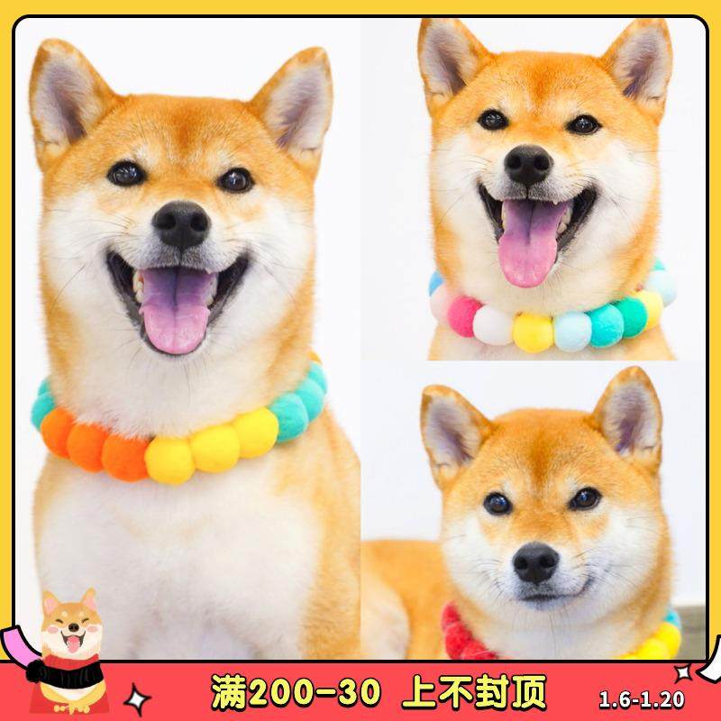今日天气晴 柴犬彩虹花花项圈毛球球围脖狗可爱花朵网红拍照柯基,宠物/宠物食品及用品,项圈/肩带,淘宝优惠券,粉丝福利购,淘宝优惠卷