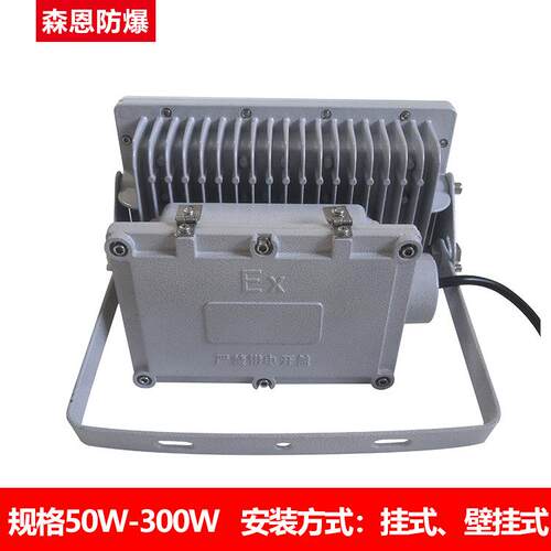 防爆投光灯LE方D50-2W50W防尘防腐防爆投光灯加油BSX86工厂灯形L