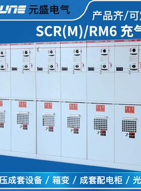 充气柜RM6-12充气式环网柜SF6六氟化硫10kv全半绝缘35kv固体GTXGN