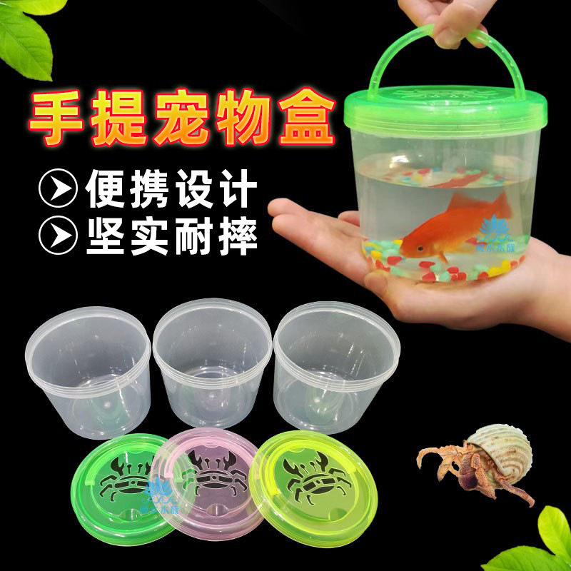 乌龟乌龟宠物捞鱼斗鱼摆摊桌面缸