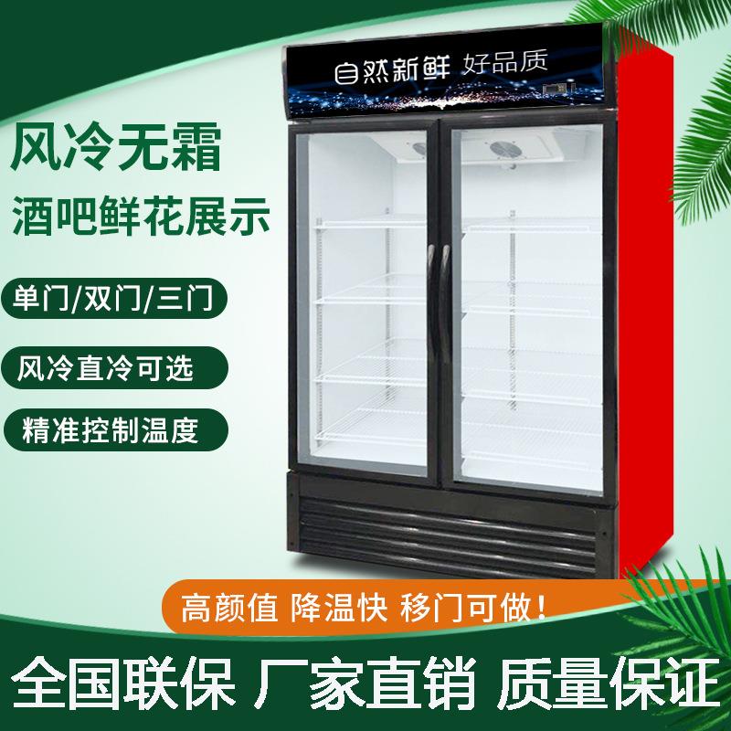 单门饮料柜商用双门立式冰箱水果蔬菜超市冷藏保鲜风冷展示柜