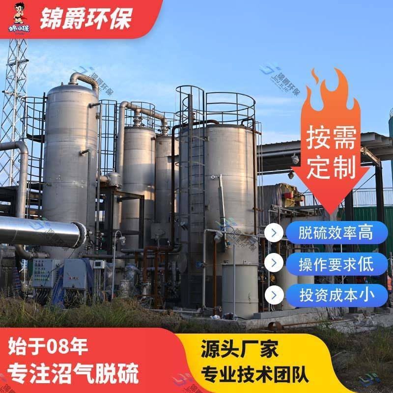 沼气脱硫净化设备沼气脱硫器干法脱硫罐络合铁湿法脱硫锦爵环保