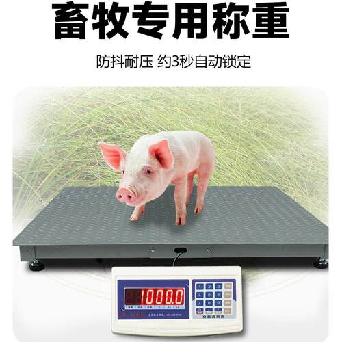 地称1磅-3吨称SCS牛羊猪秤带围工厂物流2吨地磅秤5吨磅小栏型