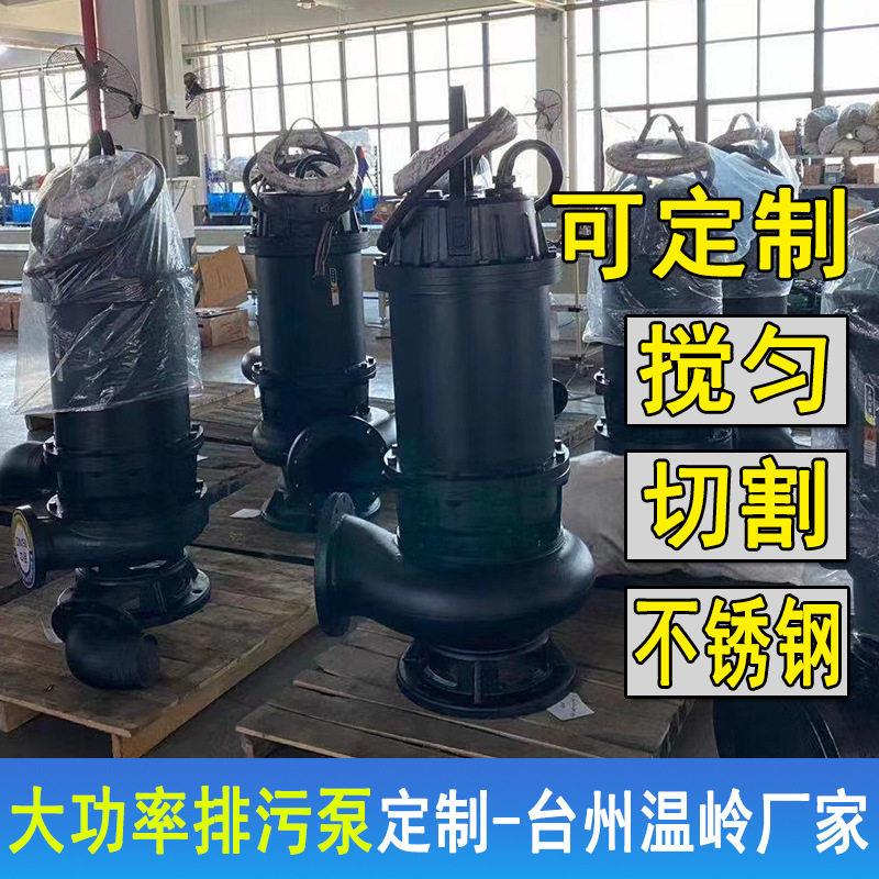 定制WQ无堵塞潜水排污泵大功率潜水泵污水泵温岭厂家机电设备