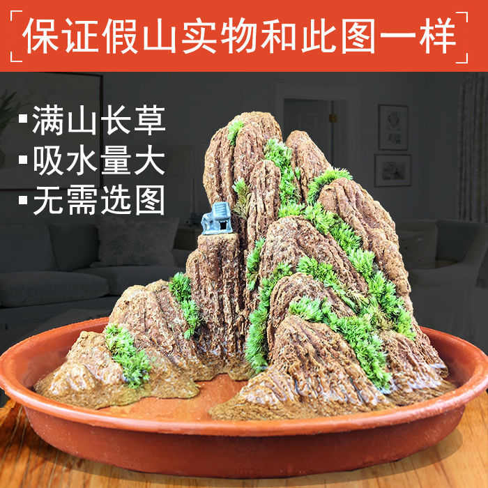 观沧海假山盆景吸水石上水石摆件鱼缸流水造景室内微景观奇石姗婷