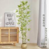 彷真竹子室内装 饰竹盆栽加密绿植 饰假竹子隔断屏风挡墙造景室外装