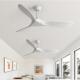 大风力吊扇2025新款 客厅餐厅工业覆古商用无灯遥控变频吊顶电风扇