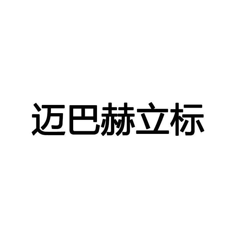 新款直销适用迈巴赫车标S级迈巴赫改装立标 S400立标S600车头引擎