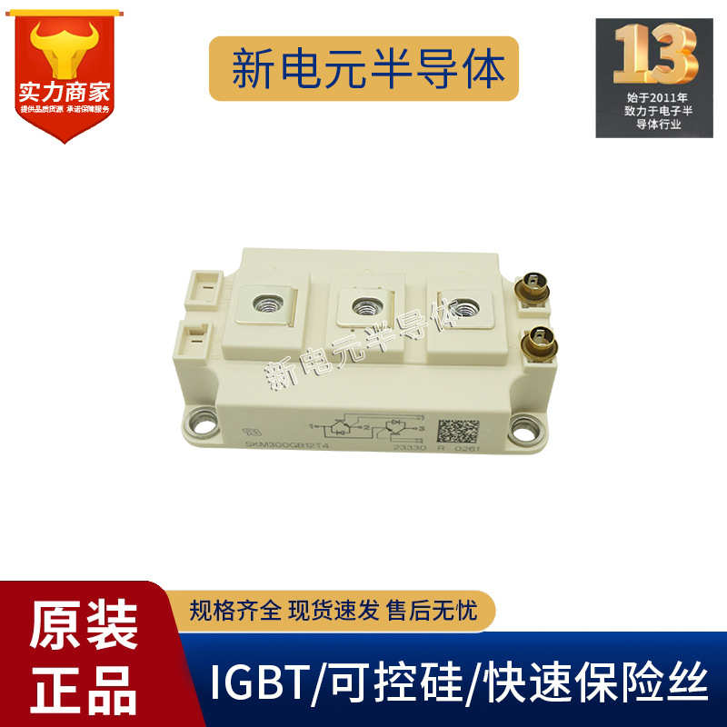 skm300gb12t4skm200gb12t4/skm400gb125dskm450gb12e4126d/模块//