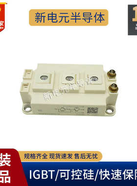 skm300gb12t4//skm450gb12e4skm200gb12t4126d模块//skm400gb125d