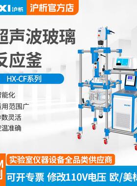 上海超声波玻璃反应釜实验室双层玻璃反应釜厂家直销