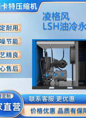 LSH油冷永磁变频7.5-90KW空压机螺杆式空压机厂家现货