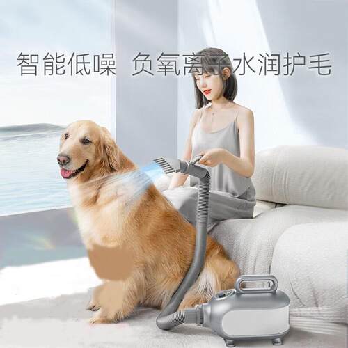 跨境宠物吹水机智能大功率猫咪烘干机狗狗吹水机犬猫通用型吹风机
