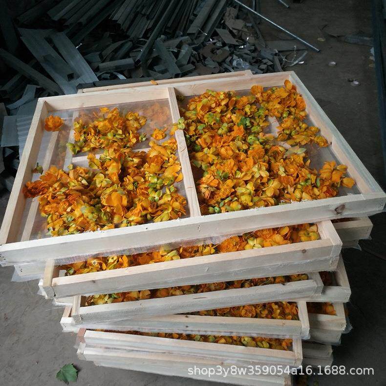 干燥热风循环金银花秋葵花烘干机黄秋葵烘干机玫瑰花烘干设备