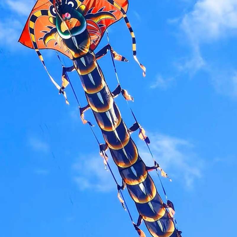潍坊蜈蚣风筝大型飞天风筝厂家供应摆摊货源风筝户外两色易飞风筝