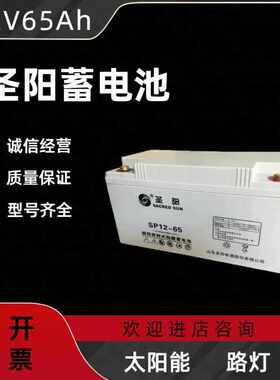 圣阳莱蓄电池12V65AHUPS/EPS监控机房专用铅酸免维护消防主机路