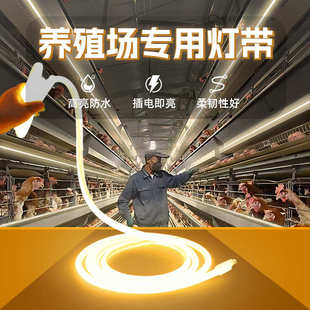 养殖场专用灯带猪场鸡舍工地led户外防水220v超亮照明灯条暖光灯