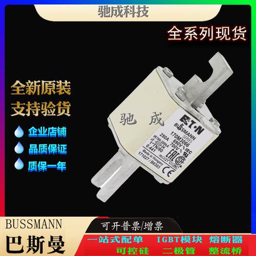 巴斯曼170M3065 170M3066 170M3067 现货供应量大价优 方体熔断器