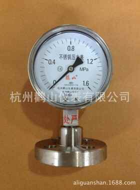 法兰连接隔膜压力表 Y100BF/MF DN25 隔膜压力表 全不锈钢隔膜表