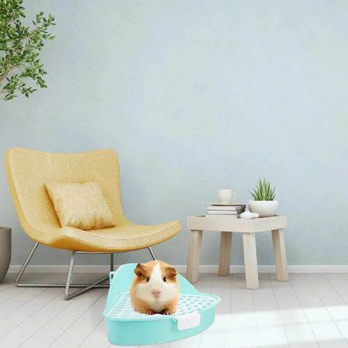 Pet Triangle Potty Indoor Bunny Tray Litter Boxes Rabbit