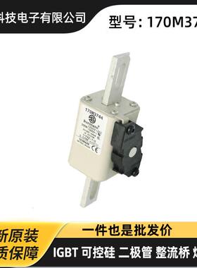 170M7123 170M7124 170M7125 170M7126原厂汽车熔断器 保险丝