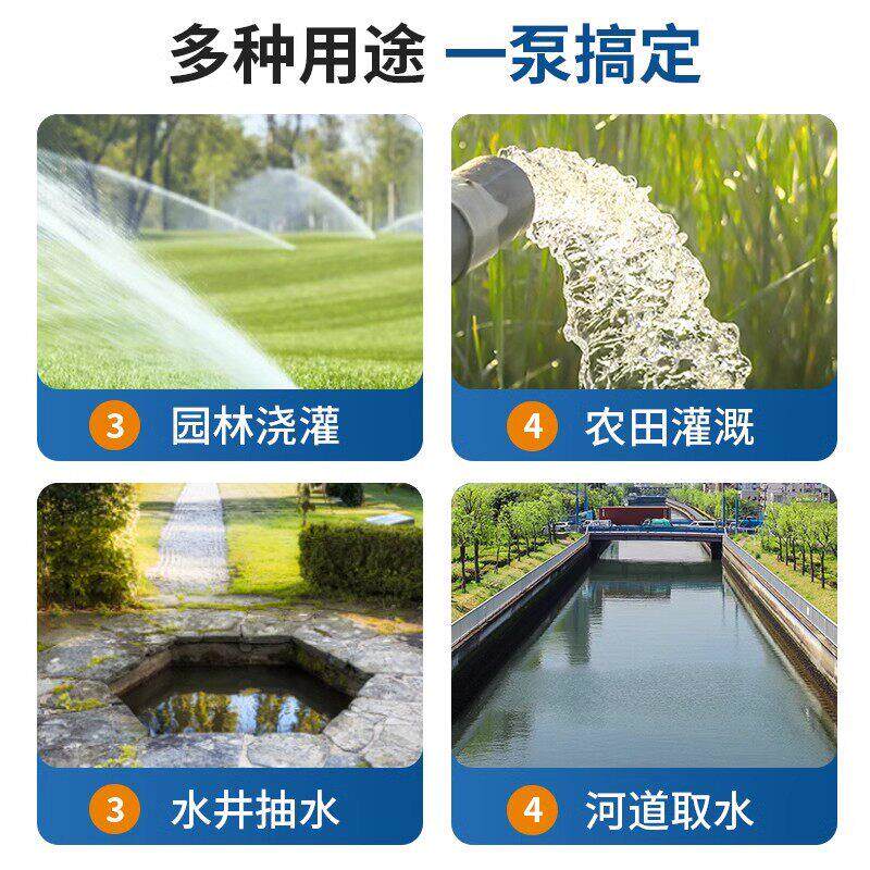 臣源直12V流潜水泵12V24车V48V60V水抽泵家用电动抽机小型浇菜水