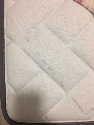 金可儿和慕思哪个高端？金可儿和慕思床垫哪个好