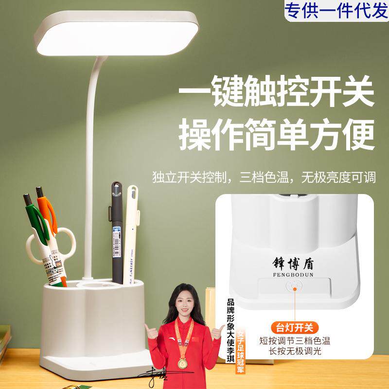 跨境台灯笔筒多功能女生学生用宿舍充电护眼灯书桌学习灯夜灯