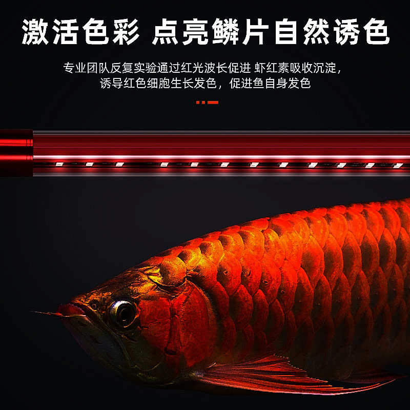 龙鱼灯鱼缸灯led灯防水超亮潜水增红增艳红鱼不红水照明专用金龙