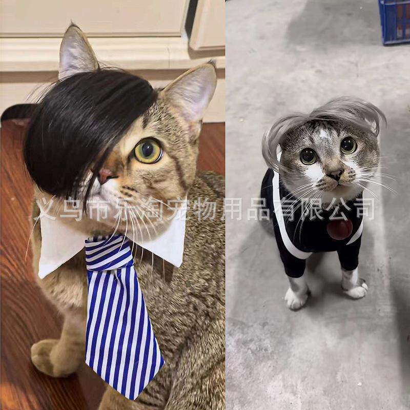 新款猫咪假发浏海甩发宠物假发中分 辫子猫咪变装假发节日搞怪