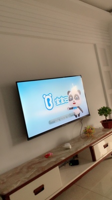 来比下电视TCL55T6M和海信55E52D哪个好，优缺点区别是？