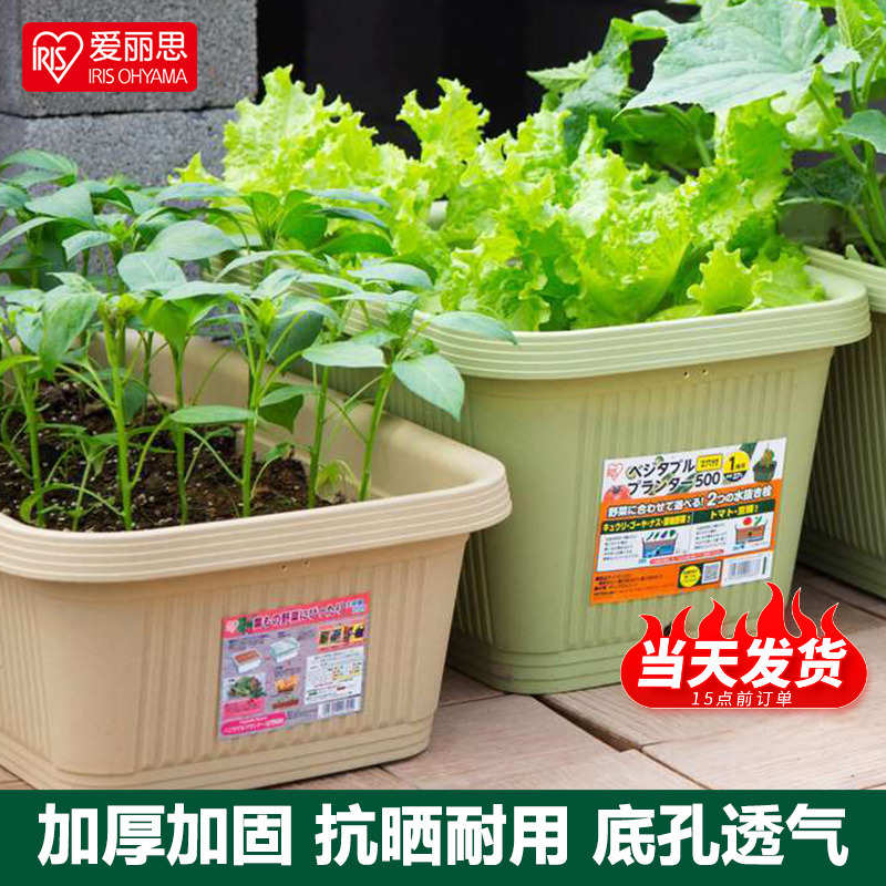盆长方形专用种菜箱塑料阳台种植种菜爱丽丝箱思爱丽蔬菜大号花盆