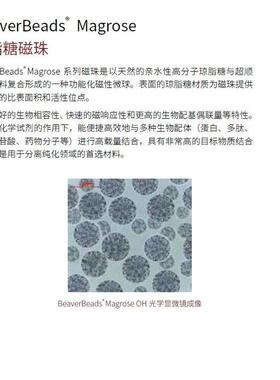 BeaverBeadsMagroseNH2氨基磁珠海狸Beaver70203-5