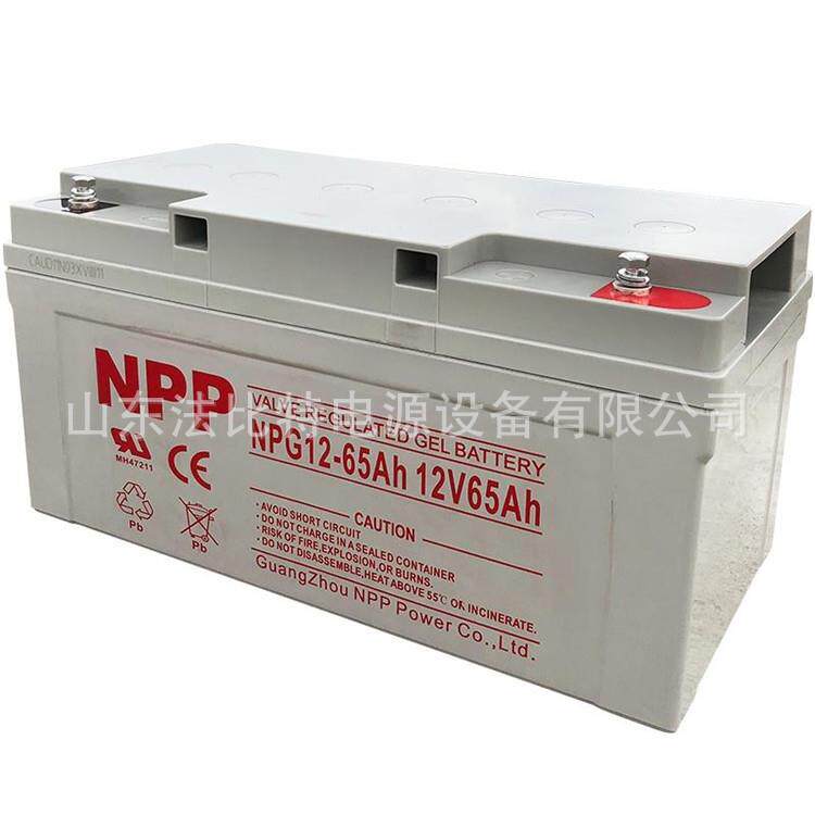 NPP免维护蓄电池NPG12-100光伏发电12V100AH太阳能储能 广州耐普