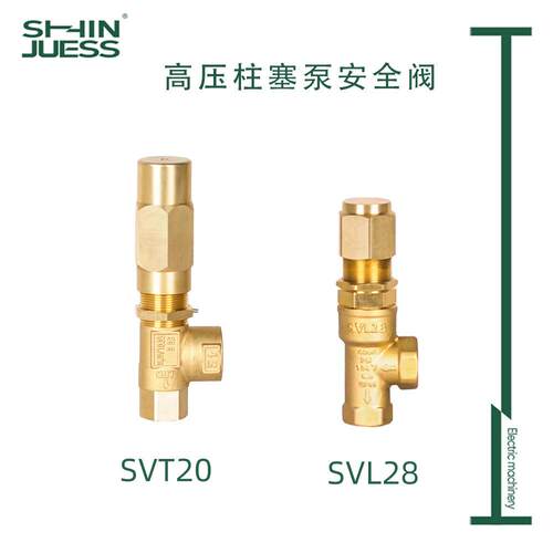 大流量安全阀高压柱塞泵配件养殖场造雾SVL50SVT28VS200适配AR