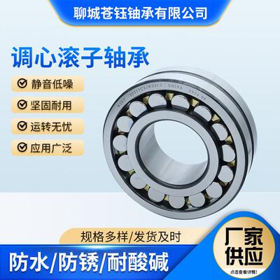 调心滚子轴承23022 23024 23026 23028 23030 23032 23052CA/W33