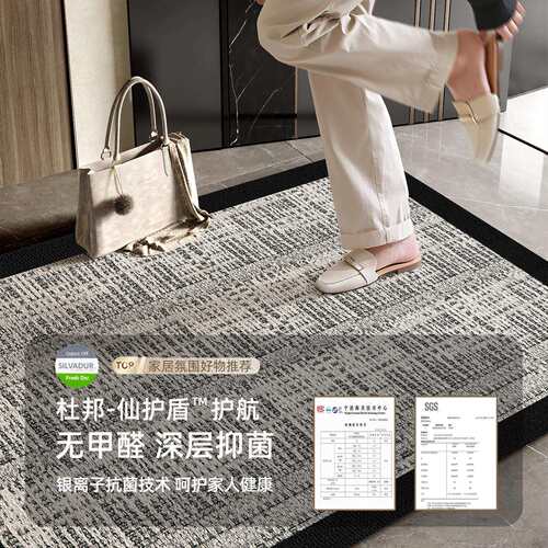 2025新款入户门地垫玄关门口脚垫进门门垫耐脏防滑地毯可裁剪地毯